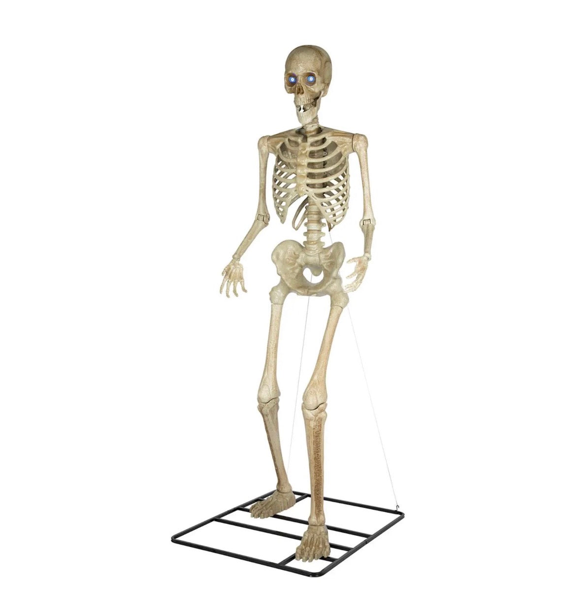 Color Changing Giant Skeleton w/ LED Eyes