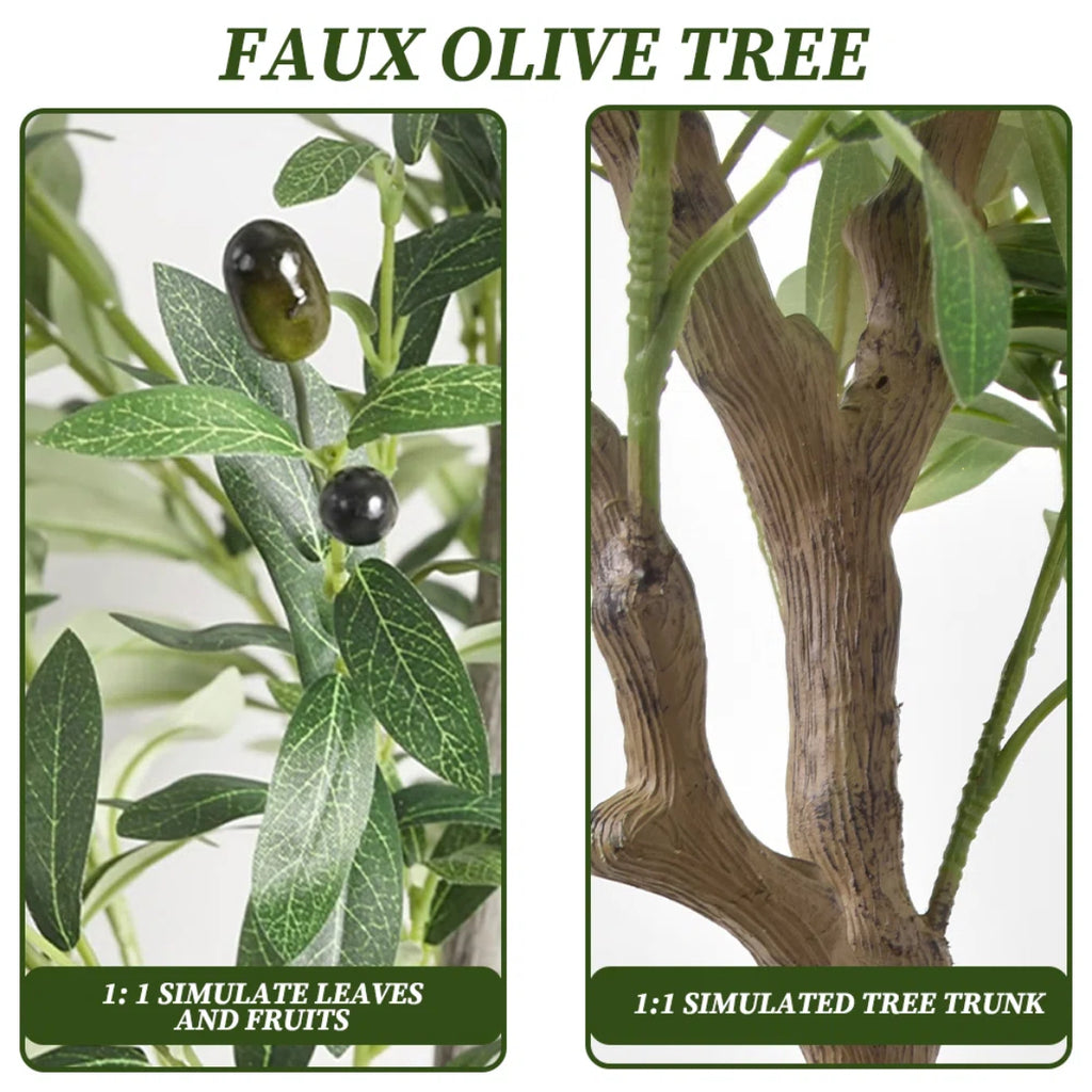 60” Olive Tree in White Planter