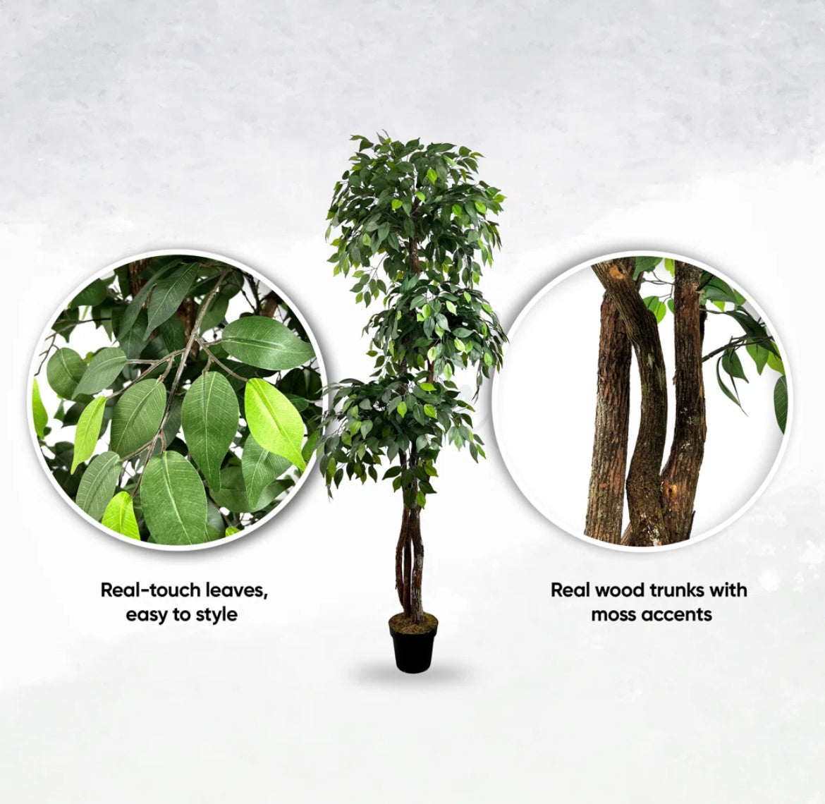 6.5'' Artificial Ficus Trees