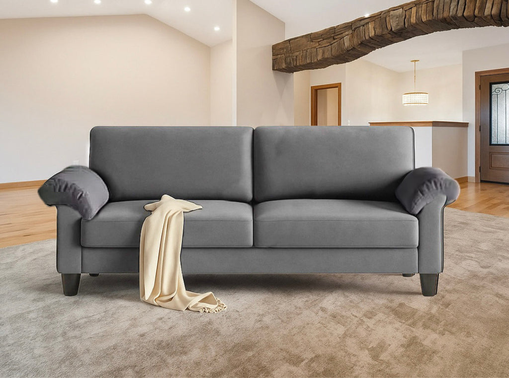 Comfy Plush Sofa