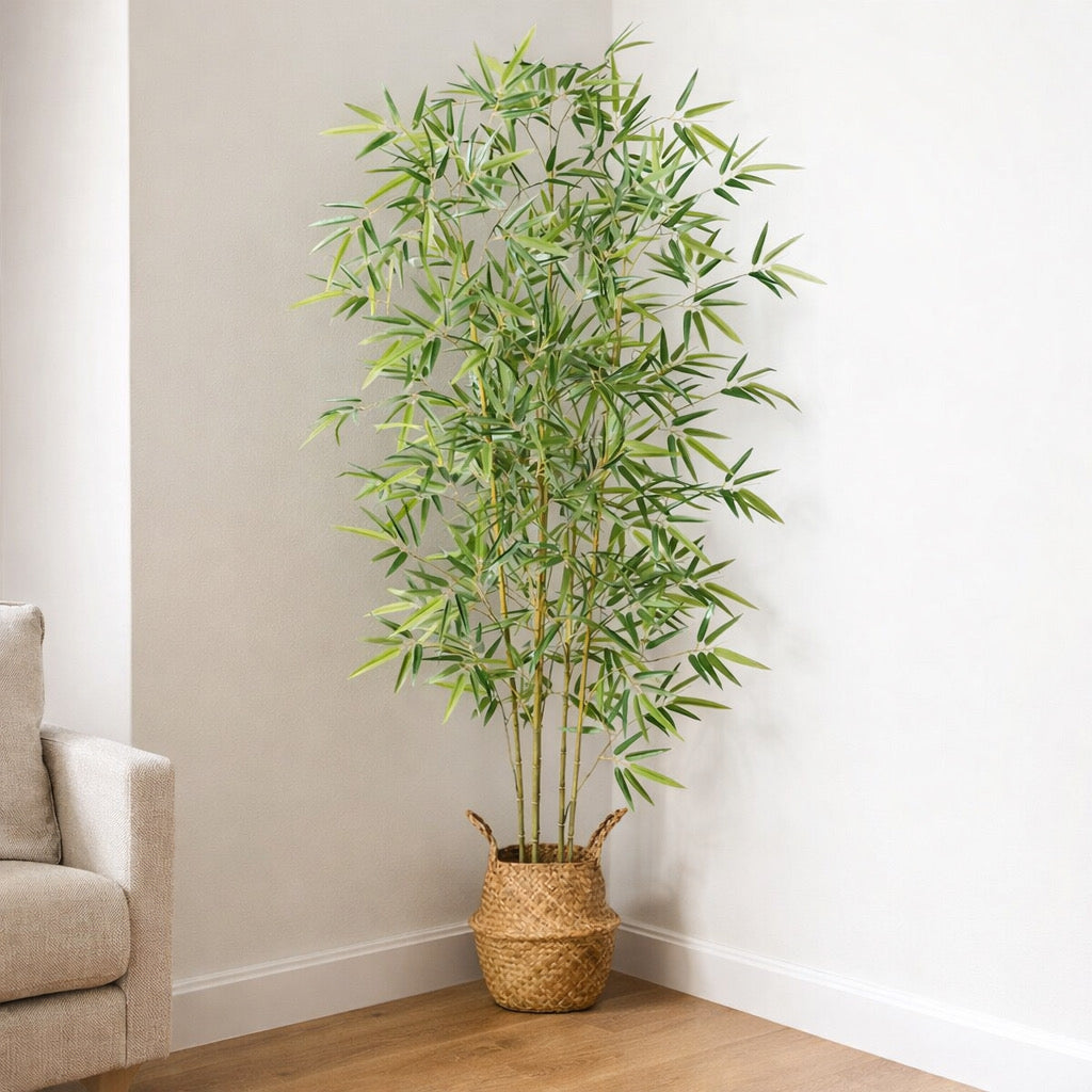 Bamboo Plants in Basket