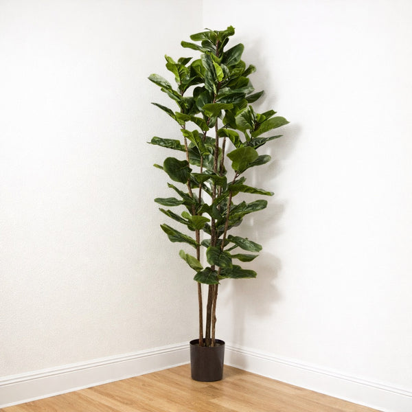 72" Fiddle Leaf Fig Tree