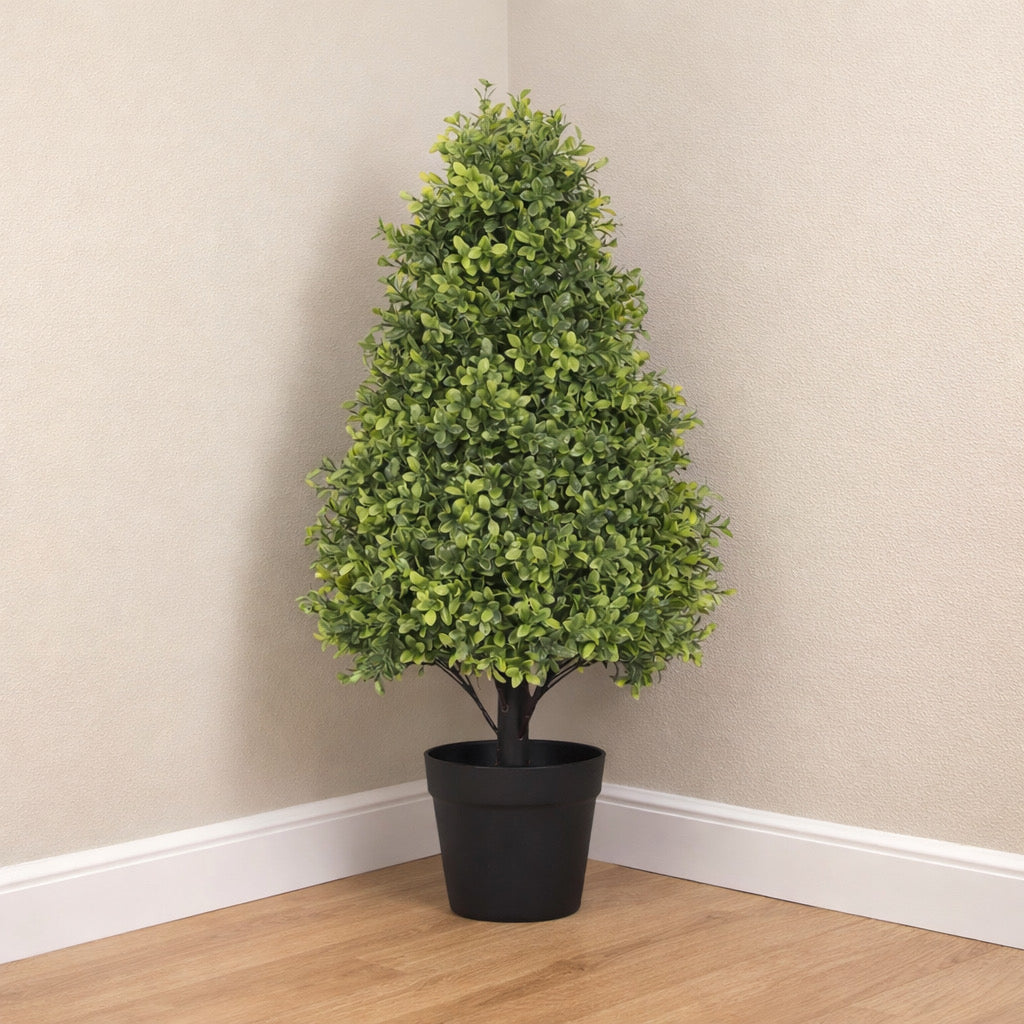 Topiary Boxwood Tree in Black Pot (Set of 2)