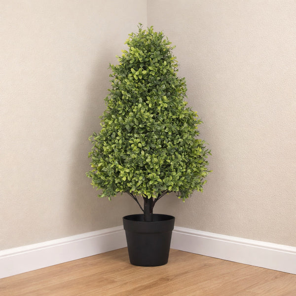 Topiary Boxwood Tree in Black Pot (Set of 2)