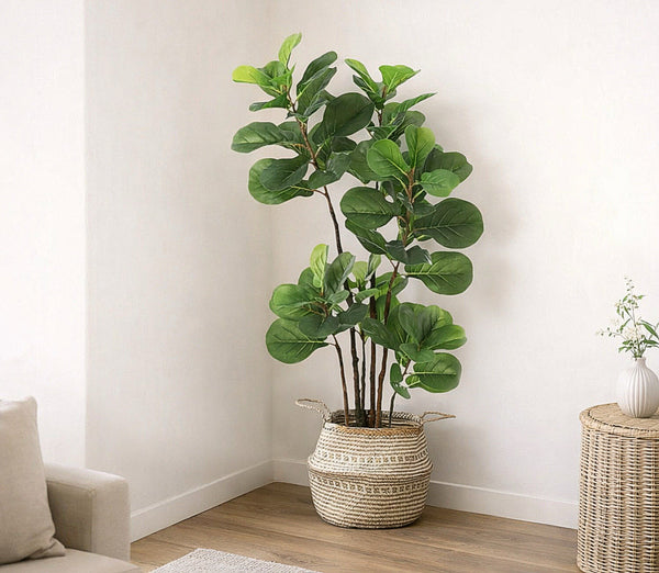 47” Fiddle Leaf Fig Tree