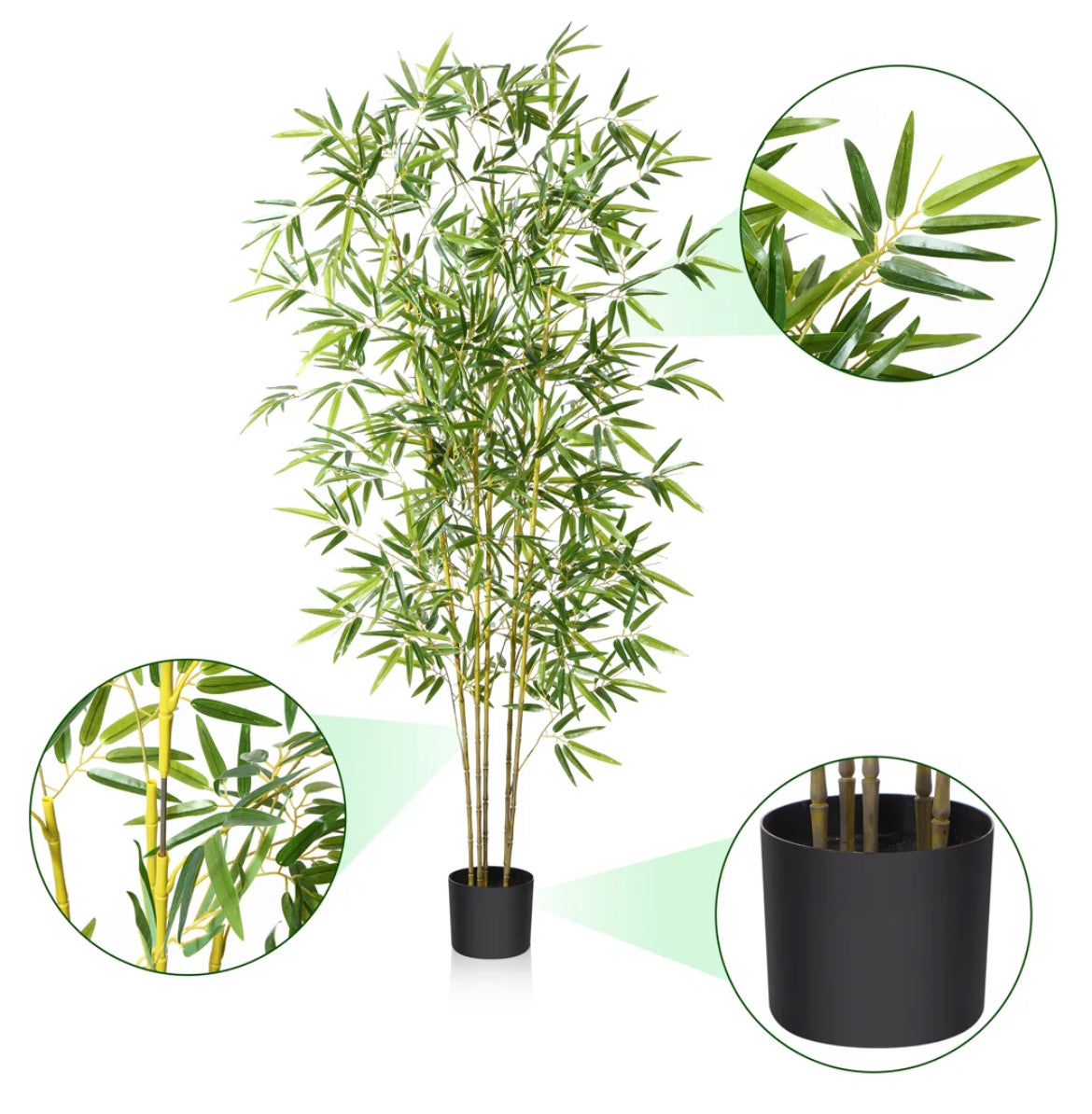 Bamboo Plants in Basket