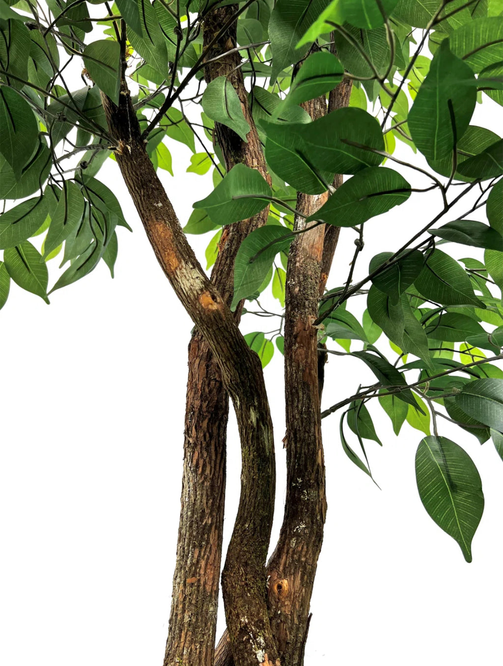 6.5'' Artificial Ficus Trees