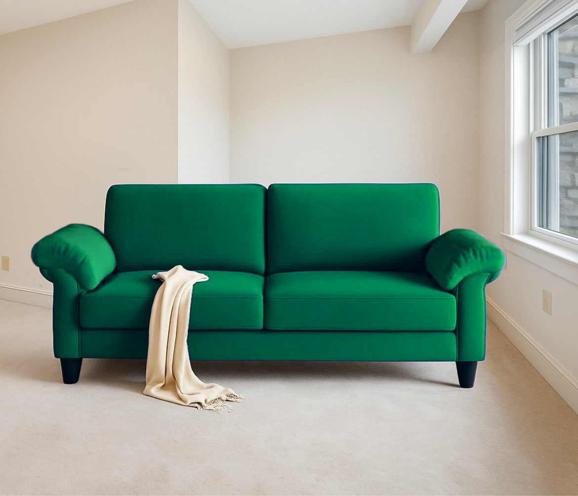 Comfy Plush Sofa