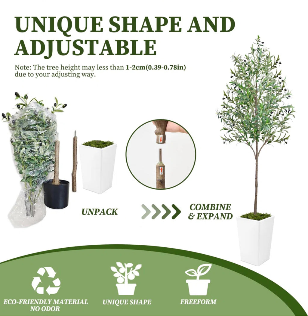 60” Olive Tree in White Planter