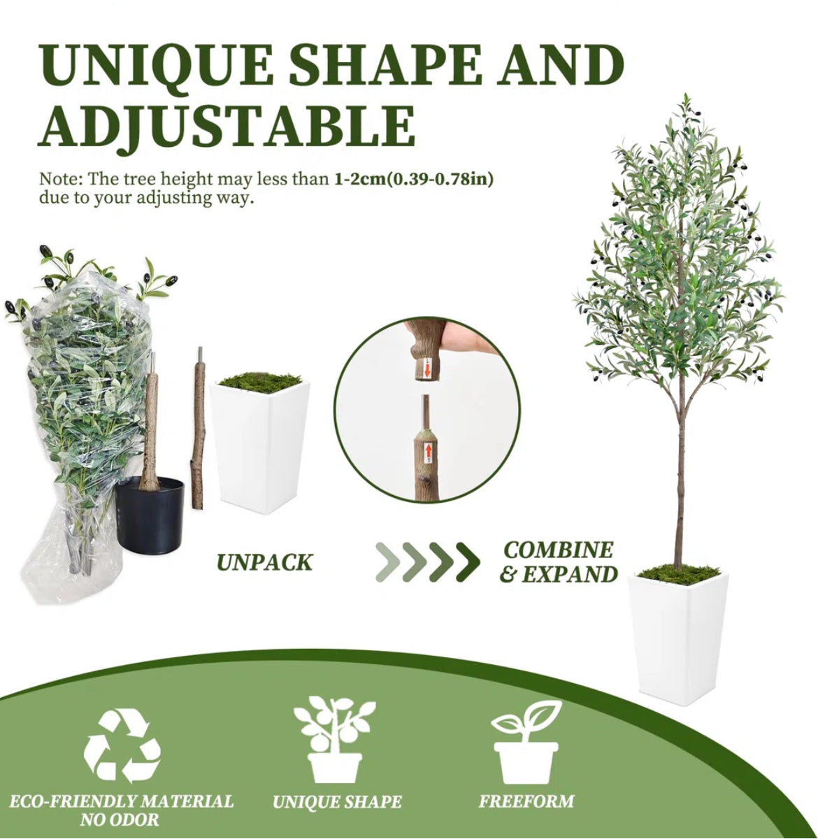 60” Olive Tree in White Planter