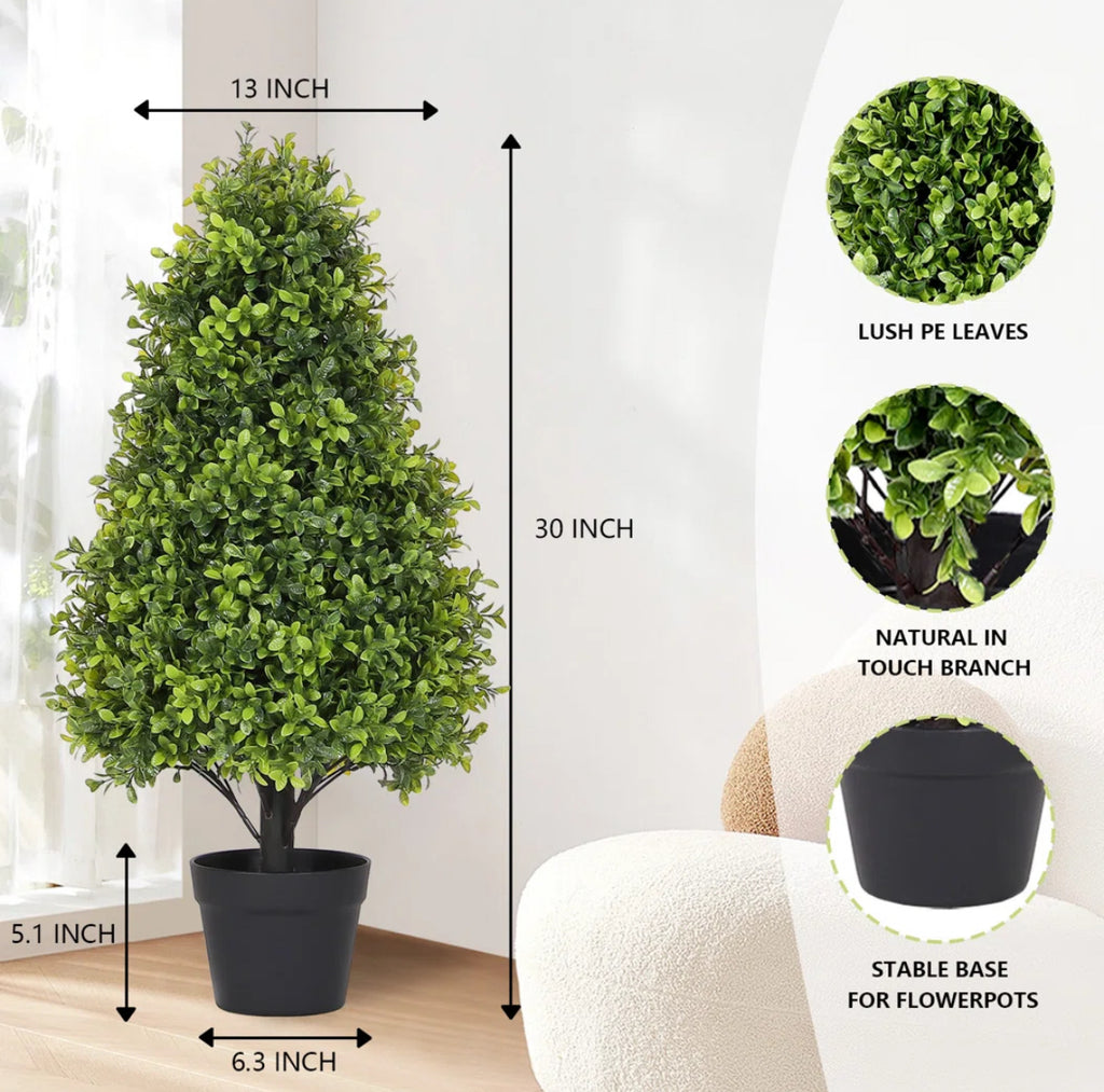 Topiary Boxwood Tree in Black Pot (Set of 2)