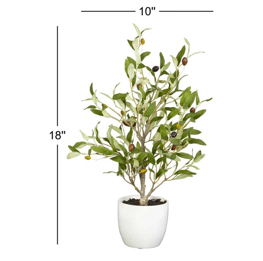 18'' Olive Tree Tree in Ceramic Pot (Set of 2)