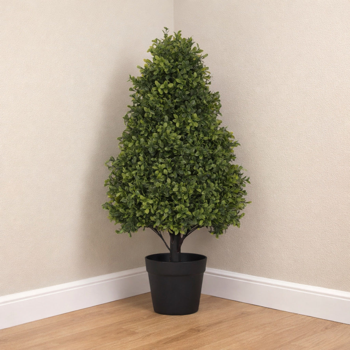 Topiary Boxwood Tree in Black Pot (Set of 2)
