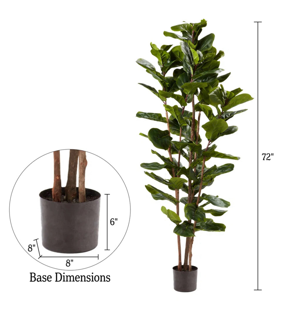72" Fiddle Leaf Fig Tree