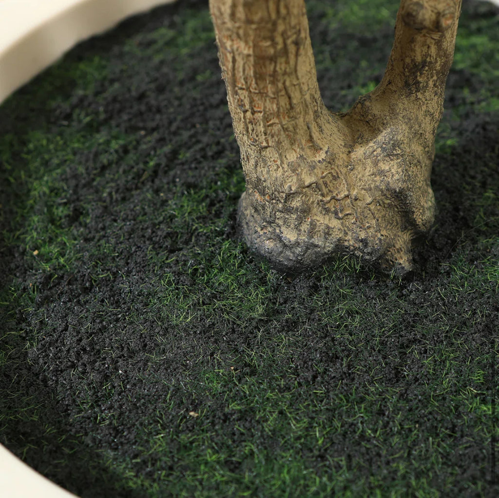 Olive Tree in White Planter