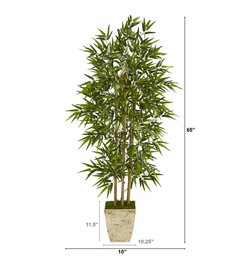 65'' Bamboo Tree in Planter