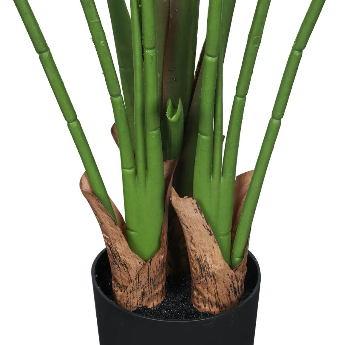 Banana Leaf Tree