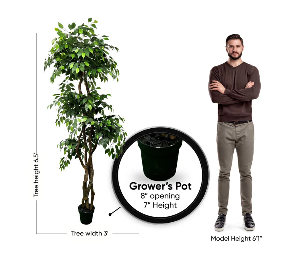 6.5'' Artificial Ficus Trees