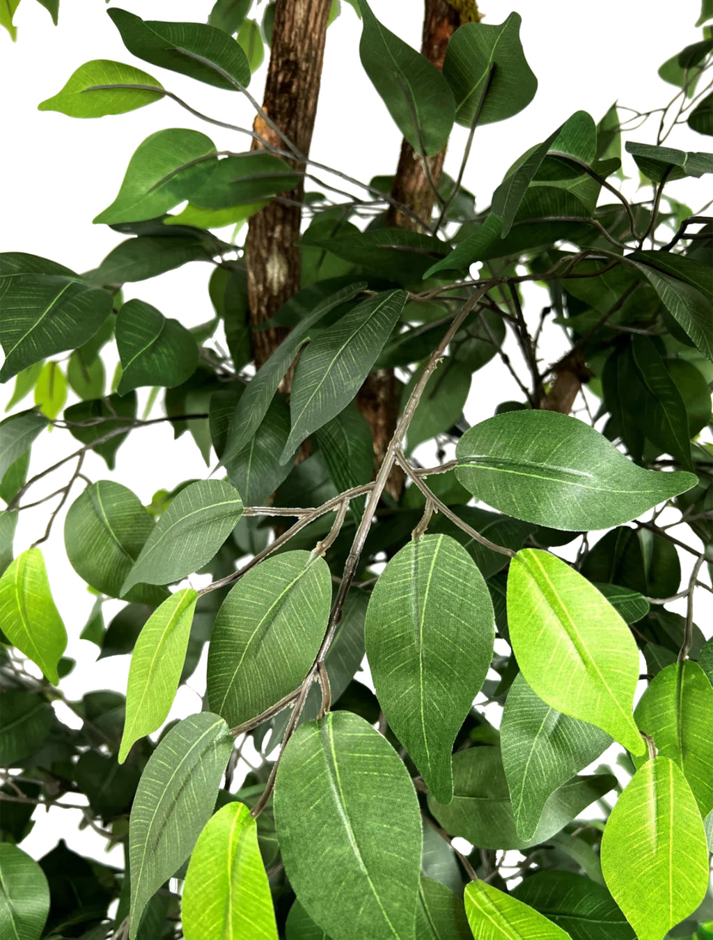 6.5'' Artificial Ficus Trees