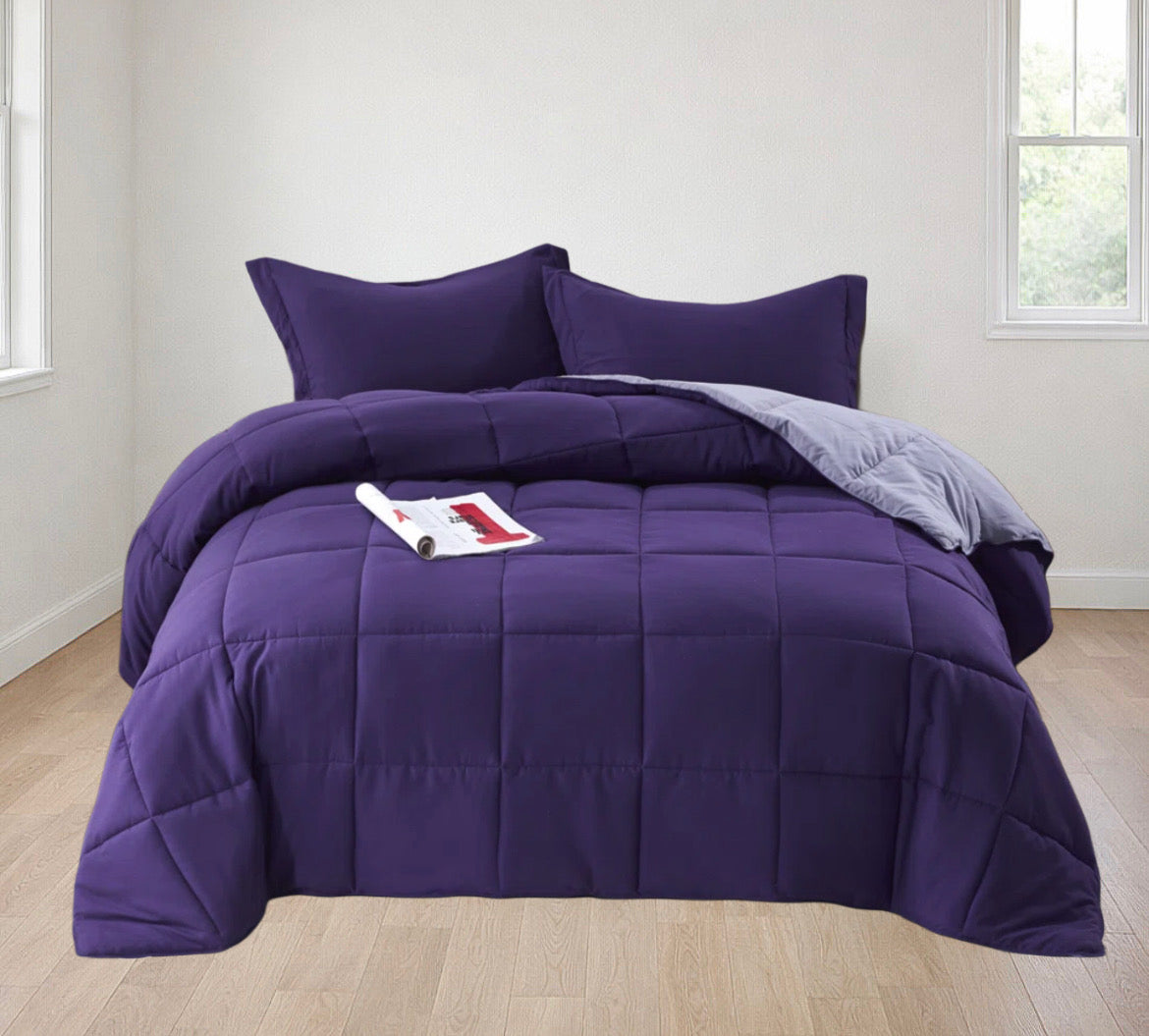 All Season Reversible Comforter Set